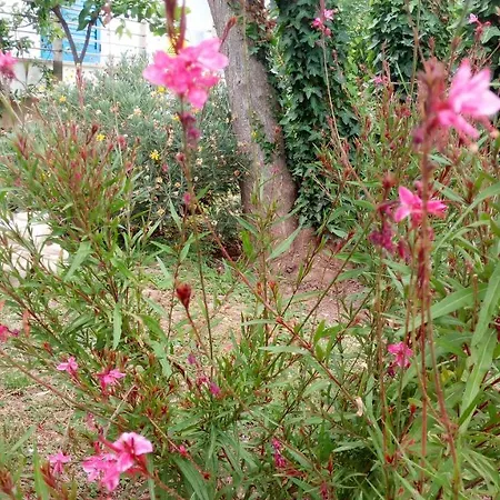 Conca Del Faro 3* 马蒂纳塔