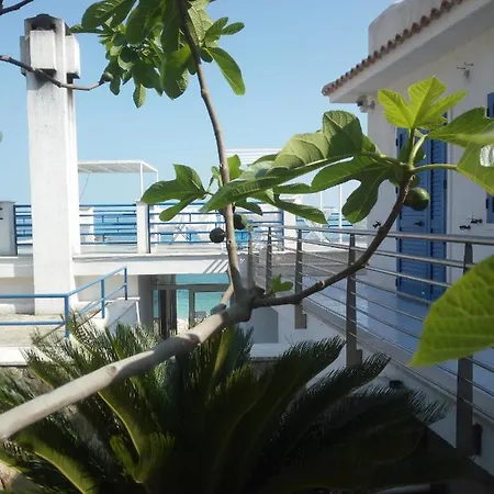 Conca Del Faro 3*
