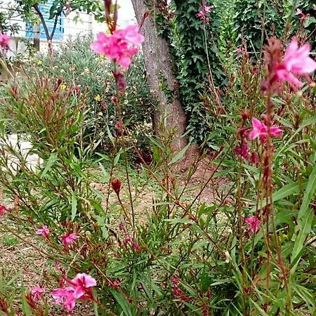 Conca Del Faro 马蒂纳塔