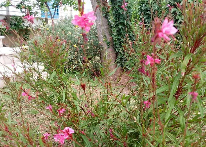 Conca Del Faro 3* מאטינאטה